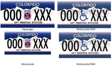 U.S Army 10th Mountain Division 