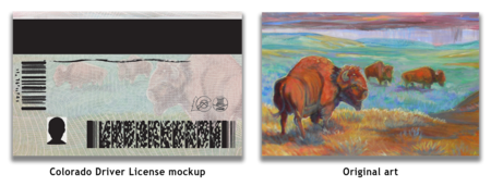 Iconic Colorado Back Choice 1