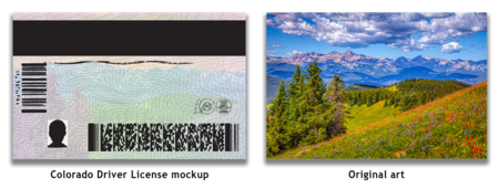 Iconic Colorado Back Choice 2