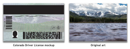 Iconic Colorado Back Choice 3